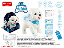 Zhorya  Teddy  / ,  ZYA-A2905  3 
