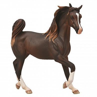 Collecta ������� ������ �������� ������ ���������� XL 88955b � 3 ���