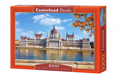 Castorland ����� ��������� �������� 1000 ������� (C-102211) 2211 � 12 ���