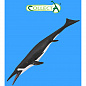 Collecta ������� �������� ��������� L 88974b � 3 ���