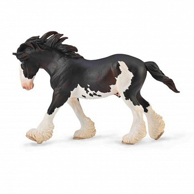 Collecta ������� ������ ��������������� ������� XL 88981b � 3 ���