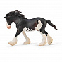 Collecta ������� ������ ��������������� ������� XL 88981b � 3 ���