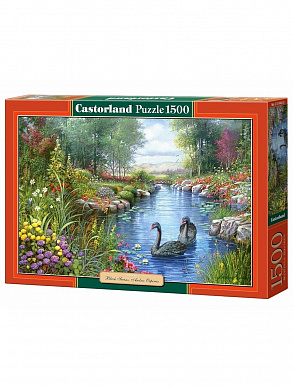 Castorland ���� ������ ������ 1500 ��������� 1042/C-151042 � 12 ���