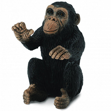 Collecta ������� ������� �������� S 88494b � 3 ���
