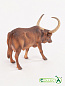 Collecta ������� ������ ������-������ L 88649b � 3 ���