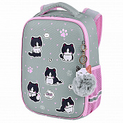 Brauberg ����� Light 1 ��������� � �������� Cat patches �������� ������� 272030