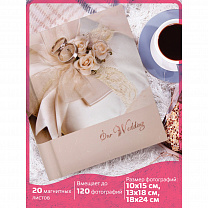 Brauberg ���������� ��������� ���� ������� 20 ��������� ������, 23�28 �� �������, 391154