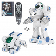 Zhorya ����� Strike �� �/� (����, ����, ��������) ZYB-B2842 � 5 ���