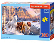 Castorland ����� ������ ������ 180 ������� 8505/B1-018505 � 7 ���