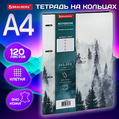 Brauberg ������� �� ������� �4 Vista 120 ������, ��� ���� �����, 404515