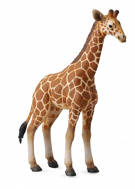 Collecta ��������� ��������� ������ 88535 � 3 ���
