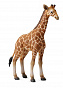 Collecta ��������� ��������� ������ 88535 � 3 ���