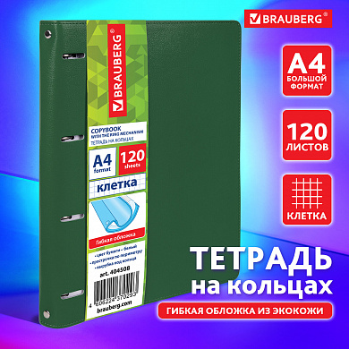 Brauberg ������� �� ������� �4 Joy 120 ������, ��� ����, ������ ������/������-������, 404508