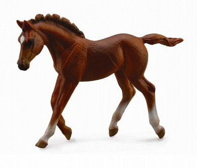Collecta ������� ���������� ������� � 88670b � 3 ���