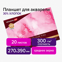 Brauberg ������� ��� �������� ������ 30% 300 �, 270�390 �� 4 �������, ������� �����, 20 � Art Premie