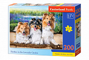 Castorland ���� ������ � ���� 200 ��������� 2117/B10-222117 � 7 ���