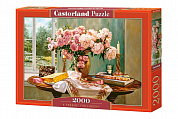 Castorland ���� ������� ��� ������ 2000 ��������� 0719/C-200719 � 12 ���