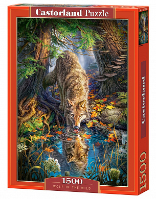 Castorland ���� ���� � ���� 1500 ��������� 1707/C-151707 � 12 ���
