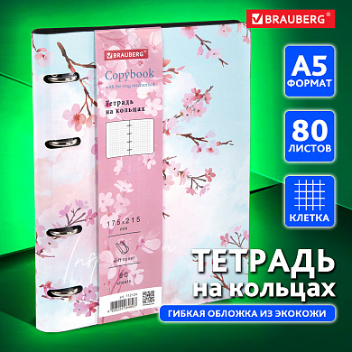 Brauberg ������� �� ������� �5 Vista 80 ������, ��� ����, ������ Inspiration, 112124