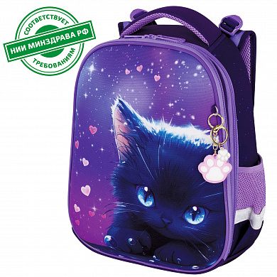 Brauberg ����� Premium 2 ��������� � �������� Anime cat 272017