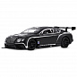 ������������ ������� Bentley Continental GT3 Concept ������ 1:24 ������ J�1251565 � 3 ���