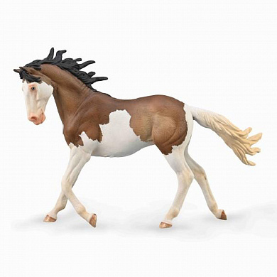 Collecta ������� ������ ������� ������ XL 88986b � 3 ���