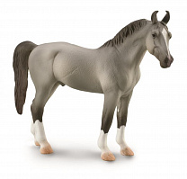 Collecta ������� ������� ������� ����� XL 88877b � 3 ���