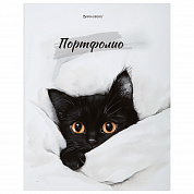 Brauberg �����-��������� ������������� 4 ������ 20 ������ Cat 107557 117557