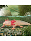 Collecta ������� ��������� � 80015b � 3 ���