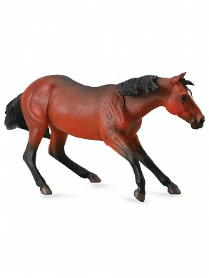 Collecta ������� ����������� ������ XL 88584 � 3 ���