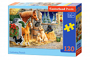 Castorland ���� midi �������� 120 ��������� 3340/B6-13340 � 6 ���