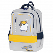 Brauberg ������ Star 1 ��������� 5 �������� Hamster ����� 272063