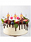 ������� ����� ����� ��� ����� �� ����� ��������� �appy �irthday 5 �� 1502-0848
