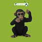 Collecta ������� �������� S 88495b � 3 ���