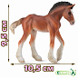 Collecta ������� ������ ��������� ��������������� ������ ������ M 88625b � 3 ���
