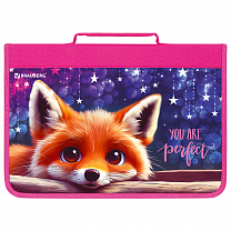 Brauberg    4     1  Cute fox 272217