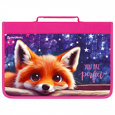 Brauberg    4     1  Cute fox 272217