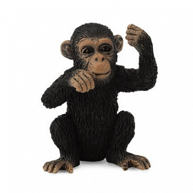 Collecta ������� �������� S 88495b � 3 ���