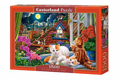 Castorland ���� ������ �� ����� 1500 ��������� 2056/C-152056 � 9 ���