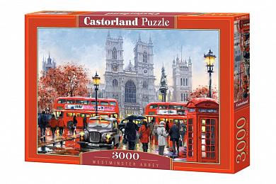 Castorland ���� ��������������� ��������� 3000 ��������� 0440/C-300440 � 14 ���