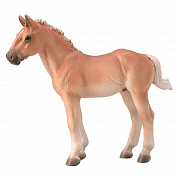Collecta ������� ��������� ������ ������� M 88952b � 3 ���
