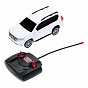 ��������� ������ �� �/� Toyota Prado 19 ��, ����, ����� �R�D�-19L-W� � 3 ���