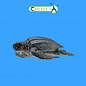 Collecta ������� �������� �������� � 88680b � 3 ���