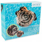 Intex ������ �������� ��� �������� ���� 173�130 �� 58785EU � 5 ���