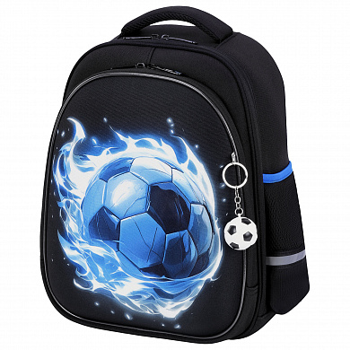 Brauberg ����� Stable 2 ��������� � ������� Blue ball 274390