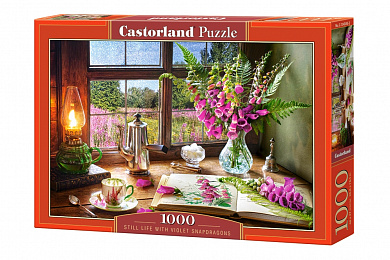 Castorland ���� �������� ��������� 1000 ��������� 4345/C-104345 � 12 ���
