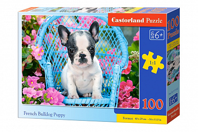 Castorland ����� ����� ������������ �������� 100 ������� 1152/B9-111152 � 6 ���