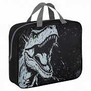 Brauberg ����� �� ������ � ������� �4 1 ��������� ��������� 80 �� Scary dino 273308