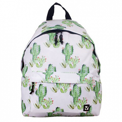Brauberg ������ �������������, ����-������, �����, �������, 20 �, 41*32*14 c� 226416