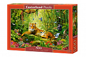 Castorland ���� ��� ���������� ���� 500 ��������� 3711/B-53711 � 9 ���